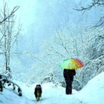 Une femme et son chien avançant ensemble dans la neige.