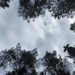 Un petit bonhomme dessiné par les nuages dans le ciel.