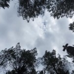 Un petit bonhomme dessiné par les nuages dans le ciel.