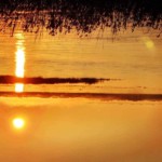 Un coucher de soleil derrière les roseaux, symbole de bien-être.