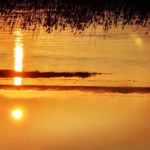 Un coucher de soleil derrière les roseaux, symbole de bien-être.