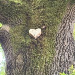 Un cœur en bois entourant un arbre, pour connoter le mieux-être ressenti après un soin énergétique avec Christel Dijoux.